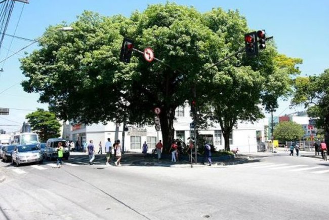 Curiosidades sobre a cidade de Mauá