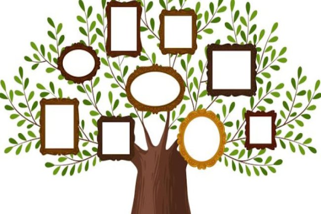 Como construir a árvore genealógica da sua família