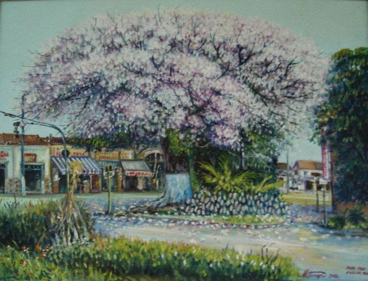 A Paineira: Os Patrimônios tombados de Mauá