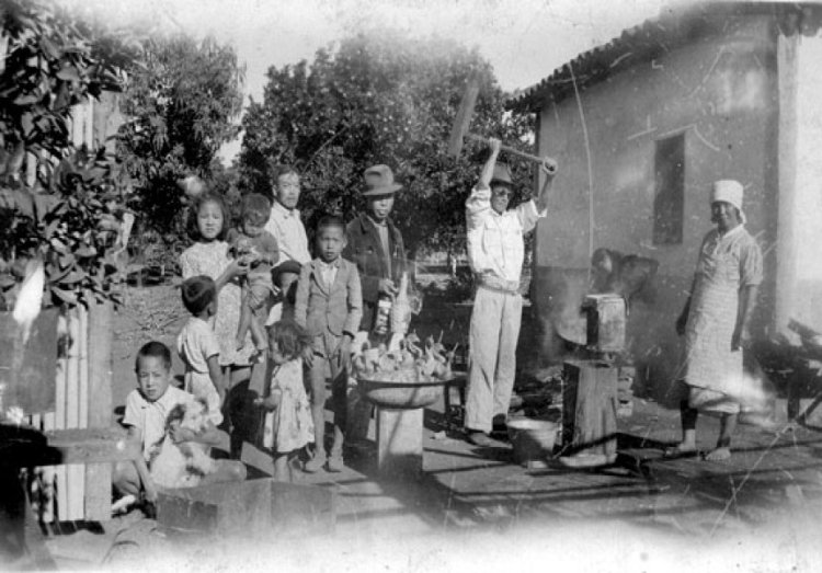 29/07/03: Colônia Japonesa comemora 73 anos em Mauá