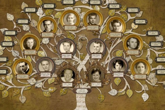 Curso Completo de Genealogia — Descubra Suas Origens