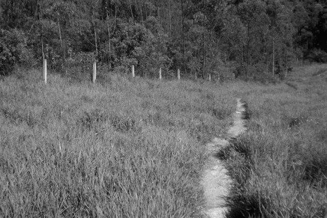 Sertãozinho: O Bairro que Nasceu da Terra e do Trabalho