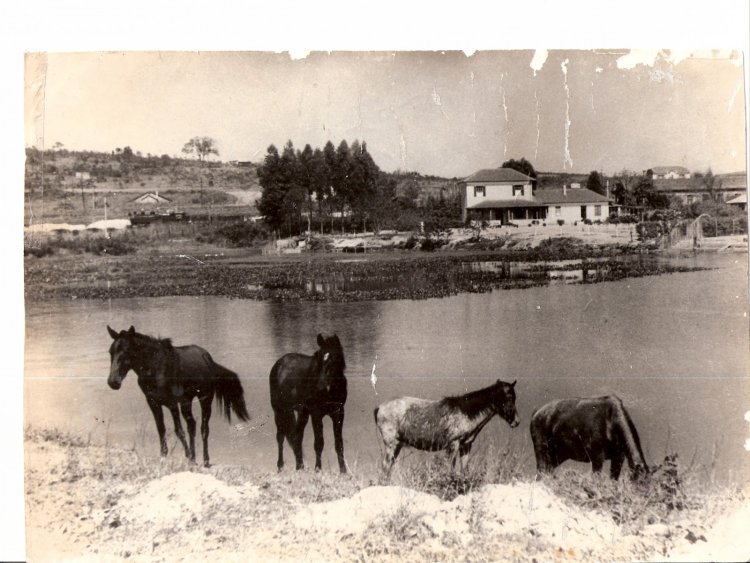 Cerâmica Morelli: História esquecida de uma pioneira de Mauá