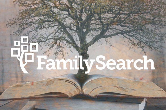 FamilySearch Genealogias: como usar a plataforma para pesquisar sua árvore familiar