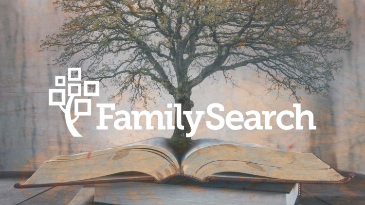 FamilySearch Genealogias: como usar a plataforma para pesquisar sua árvore familiar