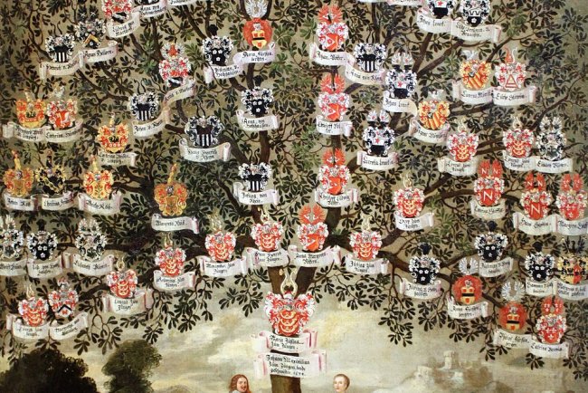 O que é genealogia: história, origem e importância da pesquisa familiar